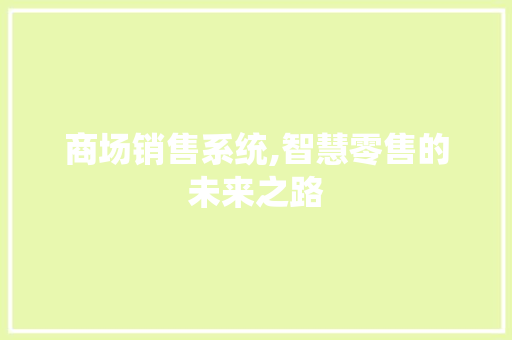 商场销售系统,智慧零售的未来之路