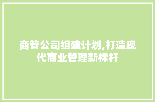 商管公司组建计划,打造现代商业管理新标杆