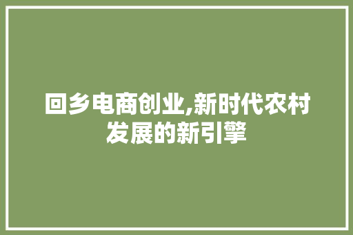 回乡电商创业,新时代农村发展的新引擎