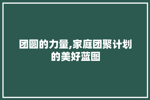 团圆的力量,家庭团聚计划的美好蓝图