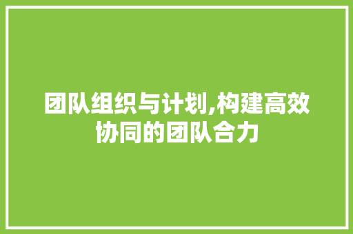 团队组织与计划,构建高效协同的团队合力 申请书范文