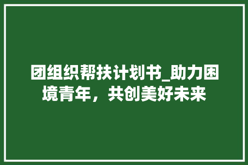 团组织帮扶计划书_助力困境青年，共创美好未来