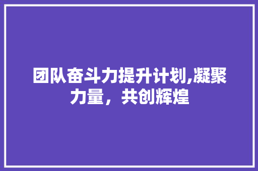 团队奋斗力提升计划,凝聚力量，共创辉煌