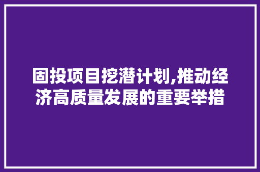 固投项目挖潜计划,推动经济高质量发展的重要举措