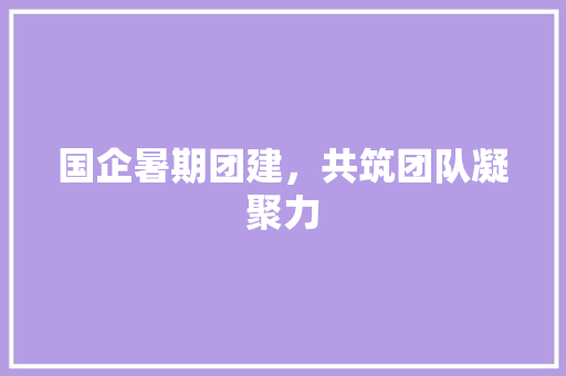 国企暑期团建，共筑团队凝聚力