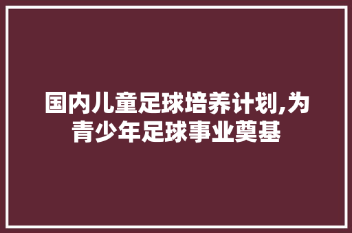 国内儿童足球培养计划,为青少年足球事业奠基