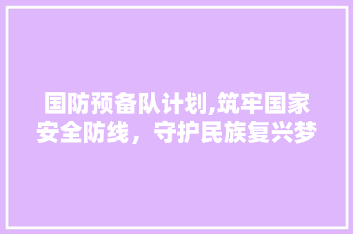 国防预备队计划,筑牢国家安全防线，守护民族复兴梦想 简历范文