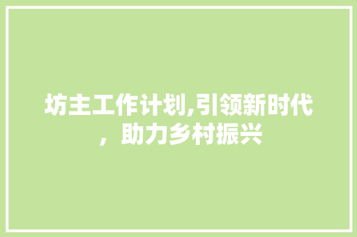 坊主工作计划,引领新时代，助力乡村振兴