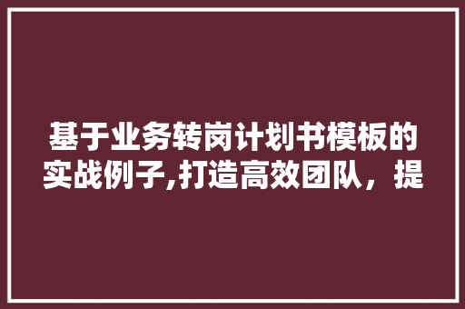 基于业务转岗计划书模板的实战例子,打造高效团队，提升企业竞争力