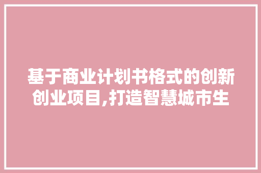 基于商业计划书格式的创新创业项目,打造智慧城市生态圈