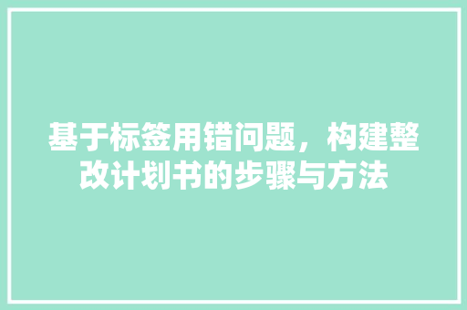 基于标签用错问题，构建整改计划书的步骤与方法