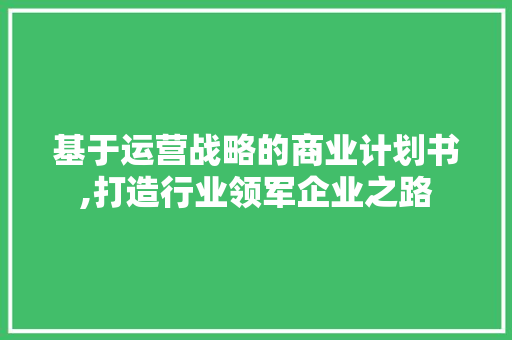 基于运营战略的商业计划书,打造行业领军企业之路