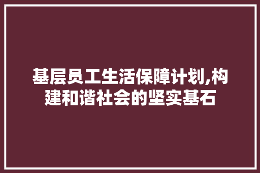 基层员工生活保障计划,构建和谐社会的坚实基石