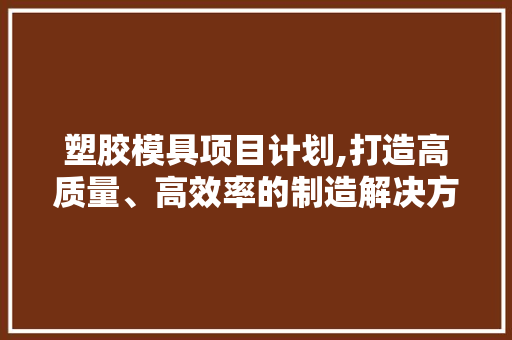 塑胶模具项目计划,打造高质量、高效率的制造解决方法