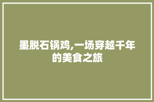 墨脱石锅鸡,一场穿越千年的美食之旅 演讲稿范文