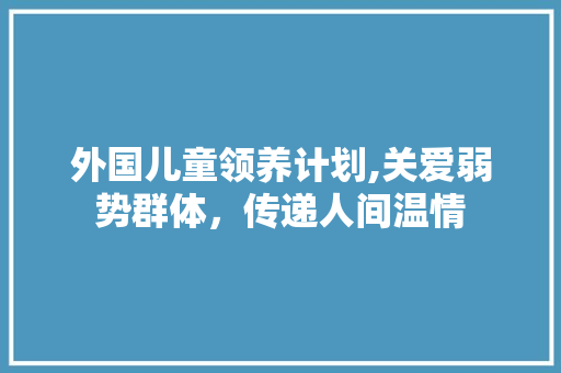 外国儿童领养计划,关爱弱势群体，传递人间温情