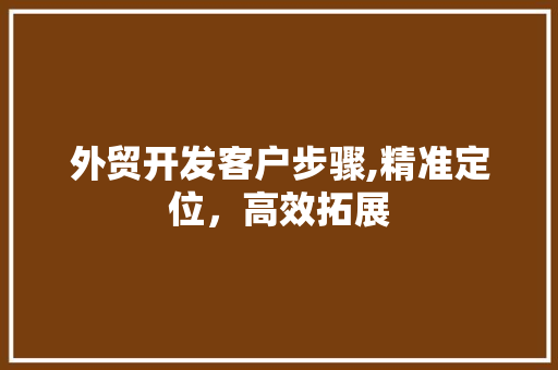 外贸开发客户步骤,精准定位，高效拓展