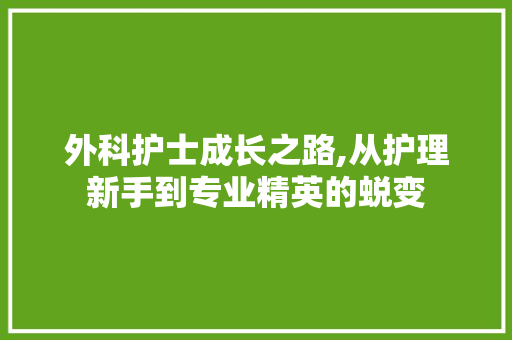 外科护士成长之路,从护理新手到专业精英的蜕变