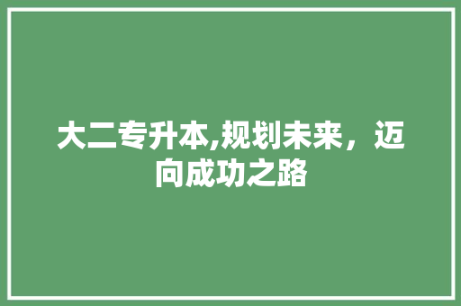 大二专升本,规划未来，迈向成功之路