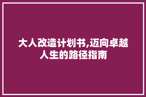 大人改造计划书,迈向卓越人生的路径指南