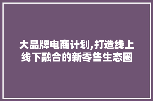 大品牌电商计划,打造线上线下融合的新零售生态圈