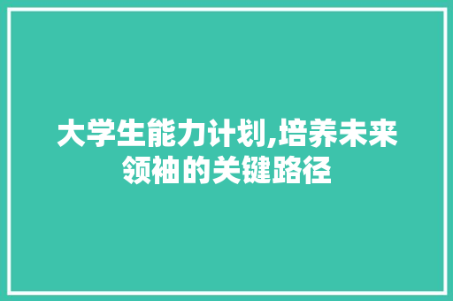 大学生能力计划,培养未来领袖的关键路径