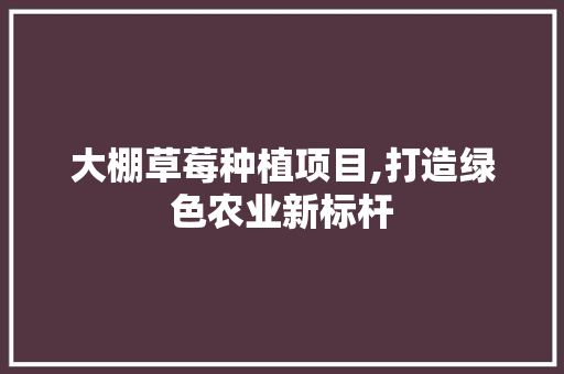 大棚草莓种植项目,打造绿色农业新标杆