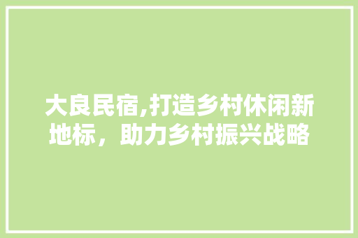 大良民宿,打造乡村休闲新地标，助力乡村振兴战略