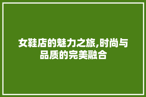 女鞋店的魅力之旅,时尚与品质的完美融合