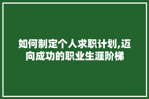 如何制定个人求职计划,迈向成功的职业生涯阶梯