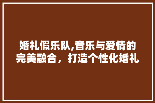 婚礼假乐队,音乐与爱情的完美融合，打造个性化婚礼新潮流