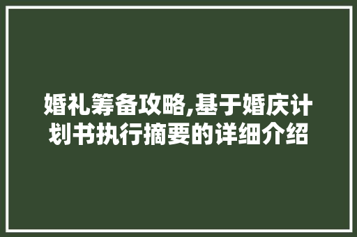 婚礼筹备攻略,基于婚庆计划书执行摘要的详细介绍