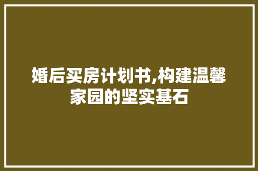 婚后买房计划书,构建温馨家园的坚实基石