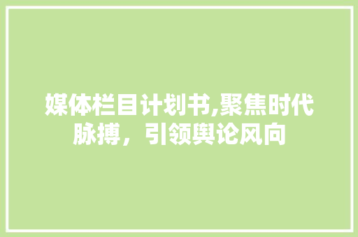 媒体栏目计划书,聚焦时代脉搏，引领舆论风向