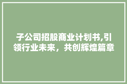 子公司招股商业计划书,引领行业未来，共创辉煌篇章