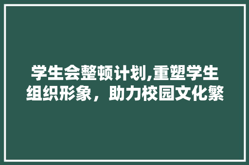 学生会整顿计划,重塑学生组织形象，助力校园文化繁荣