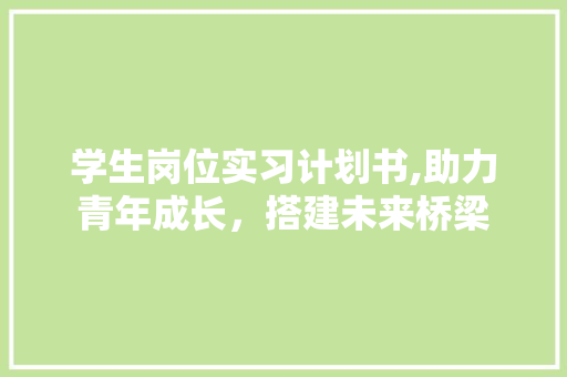 学生岗位实习计划书,助力青年成长，搭建未来桥梁