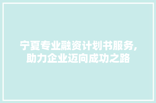 宁夏专业融资计划书服务,助力企业迈向成功之路 学术范文