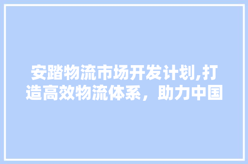 安踏物流市场开发计划,打造高效物流体系，助力中国体育产业腾飞