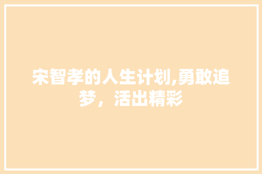 宋智孝的人生计划,勇敢追梦，活出精彩