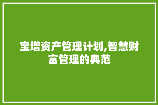 宝增资产管理计划,智慧财富管理的典范