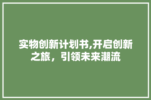 实物创新计划书,开启创新之旅，引领未来潮流