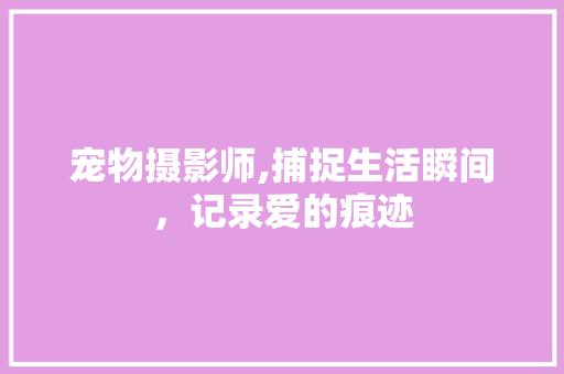 宠物摄影师,捕捉生活瞬间，记录爱的痕迹