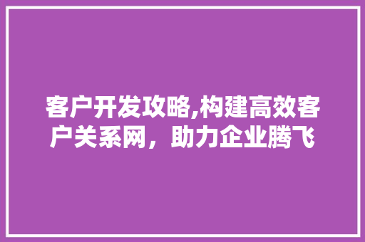 客户开发攻略,构建高效客户关系网，助力企业腾飞