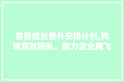 客服组长晋升安排计划,构建高效团队，助力企业腾飞