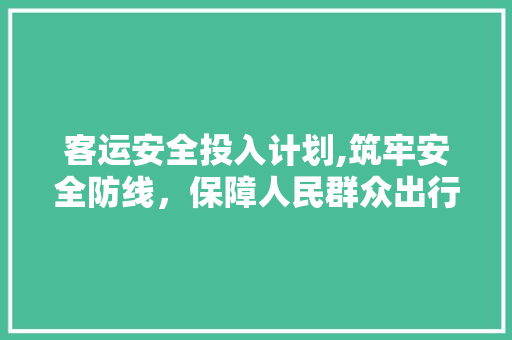 客运安全投入计划,筑牢安全防线，保障人民群众出行无忧 申请书范文