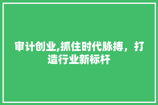 审计创业,抓住时代脉搏，打造行业新标杆