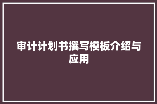 审计计划书撰写模板介绍与应用