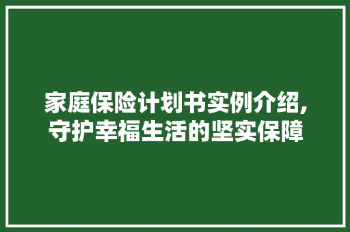 家庭保险计划书实例介绍,守护幸福生活的坚实保障