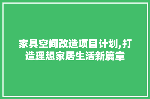 家具空间改造项目计划,打造理想家居生活新篇章 会议纪要范文